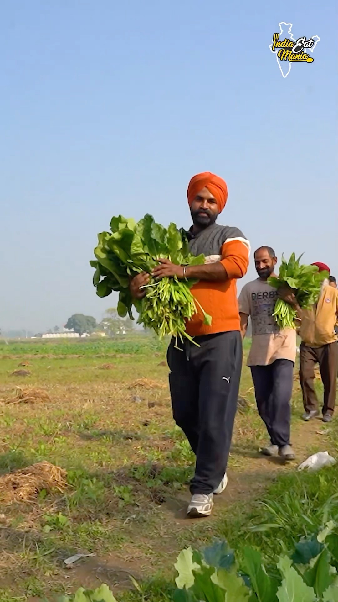 Farmer Making Village Style Pure Sarson Da Saag Makke Di Roti Rs. 99/- Only #jalandhar  #shorts