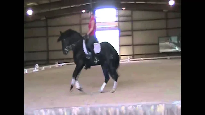 Stacey Hastings and Police 4th Level Freestyle 9 13