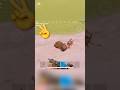 Oxide Survival Island | AST YT | #oxide #rust #оксайд