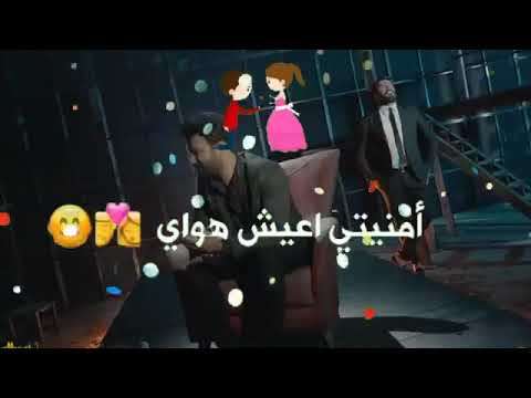 لو جوا القلب ضلعين