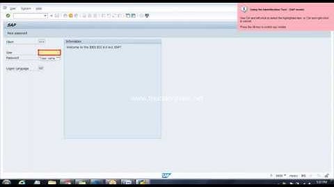Online Class sap automation MP4