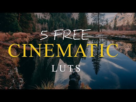 5 CINEMATIC LUTs