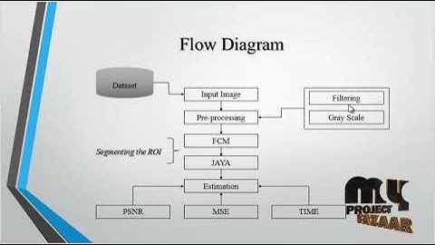 Image Processing-Brain Tumor Segmentation Using FCM-MyProjectBazaar