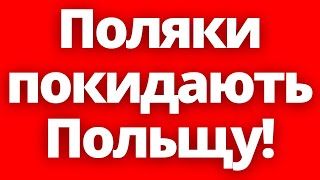 Паніка наростає! Поляки масово покидають Польщу! - 14 