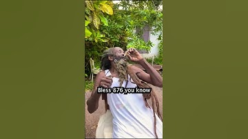 Only in 876 #jamaica #rasta #rastafari #onlyin876 #africa #jamaicajamaica #herbs #food #jamaican