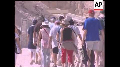 DVS King Tut Unveiled