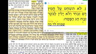 דף יומי פסחים דף סד Daf yomi Pesachim daf 64 שמואל נבון.