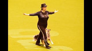 Crufts 2020 Heelwork to Music Final - Christina Oxtoby and Shai