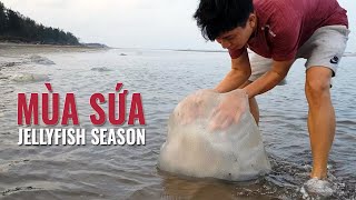 Jellyfish Season  Vietnam Life in The Countryside EP 64