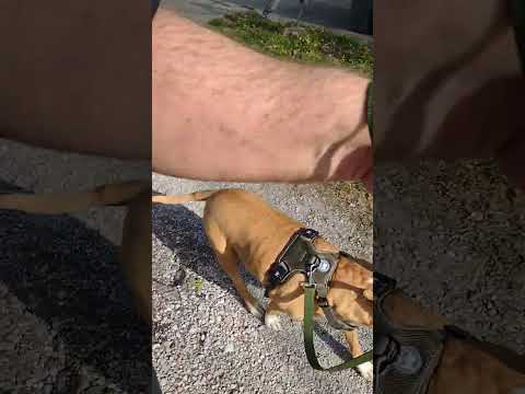 Sara VID 2023 04 17 172657664