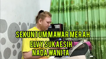 SEKUNTUM MAWAR MERAH - Elvy Sukaesih | Karaoke | Nada Wanita | Lirik