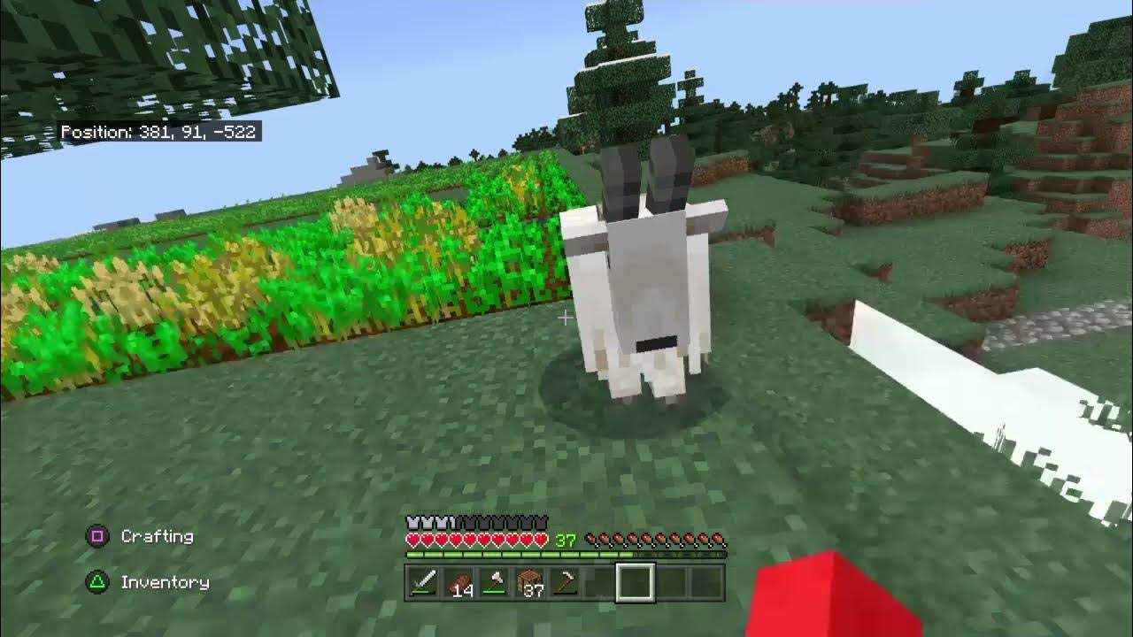 Proof That Goats Attack You For No Reason In Minecraft 1.17 YouTube