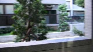 MVI_7907.AVI