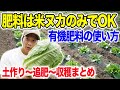 米ぬかだけで十分!化成肥料から有機肥料に切り替えて栽培 レタスと白菜栽培 植付けから収穫まで
