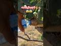 "प्यास बुझाने की तलाश में नन्हीं मुसाफिर। #shorts #viralvideo #gilehri #water