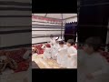 شاهد منصور يلعب مع أبنائه اليوله الامارتيه منصور ال زايد سلطان حمود