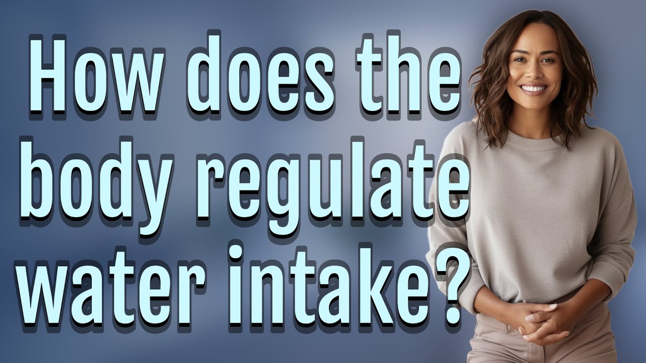 How Does The Body Regulate Water Intake YouTube How Does The Body Regulate Water Intake YouTube