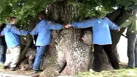 Czech Summer Program - PSU Landscape Architecture