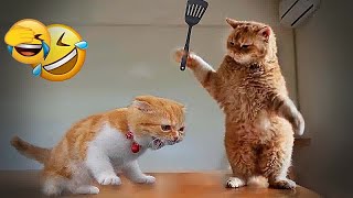 So Funny! Funniest Cats and Dogs  Funniest Animals 2024 #18