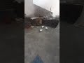 🏠🏠🕊🕊🕊🥚