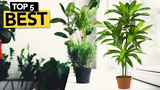 TOP 5 Best Artificial Plants for Your Living Room in 2025 🪴 | Stylish & Low-Maintenance Décor