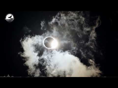Tommaso Farinetti and Morgana Farinetti - Eclissi