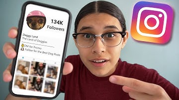 How I Grew an Instagram Theme Page in ONE Week