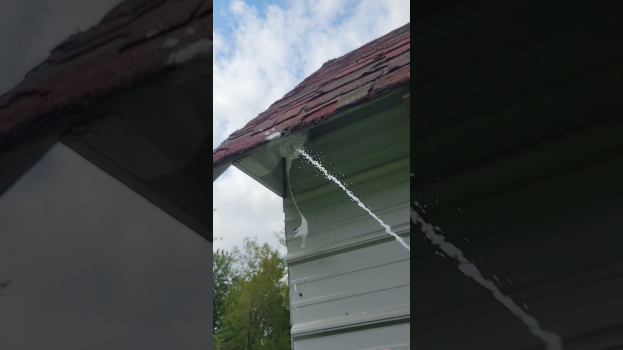 Stinger to the eye = Dead Hive 