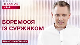 ✍🏻 Перевірка на СУРЖИК: знаходимо помилки у реченні – Вчимо українську