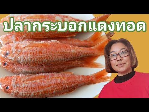 วีดีโอ: ปลากระบอกแดง - อาหารอันโอชะเล็ก ๆ