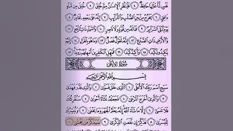 سورة الأعلى بصوت الشيخ ناصر القطامي
