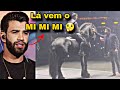 Internautas det0nam gusttavo lima por cavalo em palco 