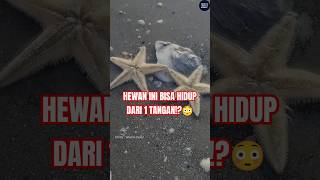 Tinggal 1 Tangan Tapi Masih HIDUP!? 🤯