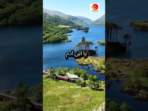 النفس تبكى على الدنيا وقد علمت ان السلامة فيها ترك ما فيها القبر صندوق العمل الموت لحظه ترند لايك