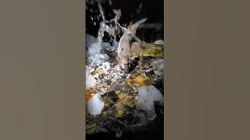 Hammer vs Ice Slo-Mo