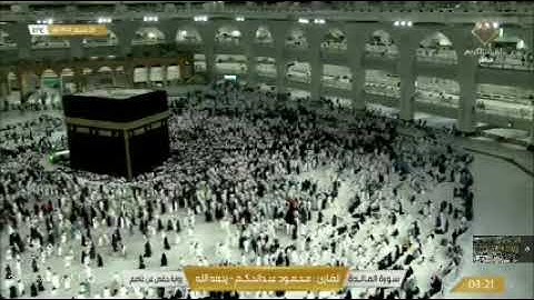 الشيخ محمود عبد الحكم وسورة المائدة كاملة .