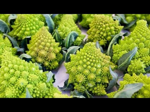 Video: A duhet të blej bimë perimesh organike?