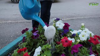 Оазисы во дворах: как жители Самары ухаживают за цветами