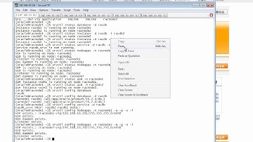 08.09_Oracle_10gR2_RAC_8.9 Verify the 2 nodes RAC Cluster & Database Configuration_20120202.flv