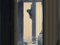 チビゴリラのキンタロウは、柱を全速力で上りママと会う【京都市動物園】 #Shorts