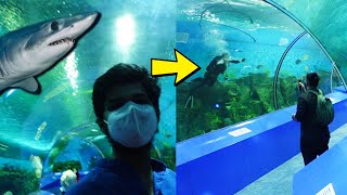 Whats Inside INDIAS BIGGEST AQUARIUM ? Ft. @PowerTrain