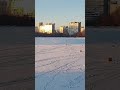 Головинские пруды