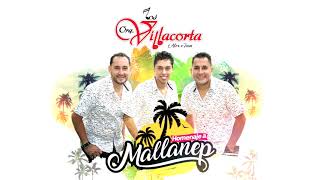 Video thumbnail of "Los Villacorta - Homenaje a Mallanep (Audio)"