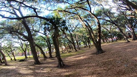 Proximity TRAINING // FPV Freestyle