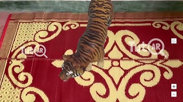 How to use TutAR app   Augmented Reality AR platform for schools   Next Reality Classroom