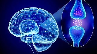 Celebrity 6 Natural Ways To Boost Your Serotonin. The Key To Feeling Of Happiness Net Worth
