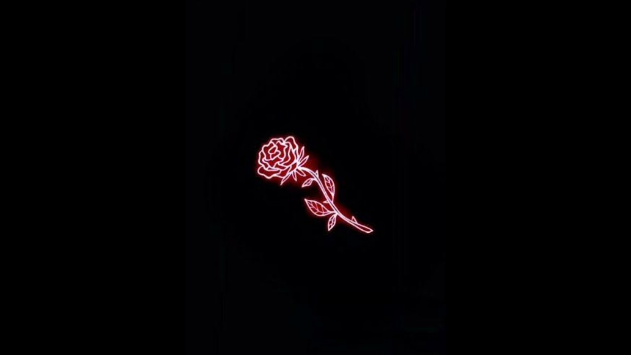 Esqueci o nome dessa. 