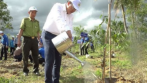 Phát động "Tết trồng cây đời đời nhớ ơn Bác Hồ" Xuân Quý Mão