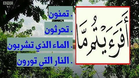 قراءة مؤثرة  من سورة الواقعة بصوت. الشيخ فواز الكعبي مع التصوير المعبر