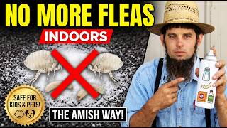 How to Kill Fleas in Your House the Amish Way (SAFE for Pets & Kids)
